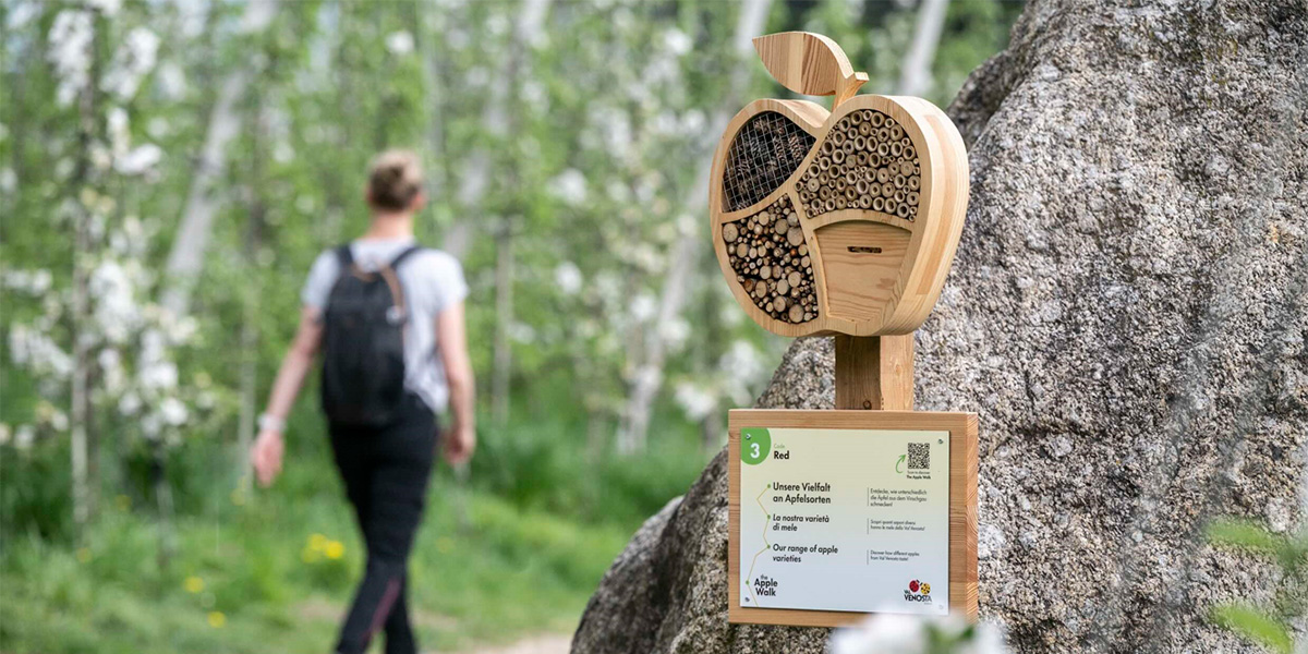 The Apple Walk, il sentiero didattico della mela